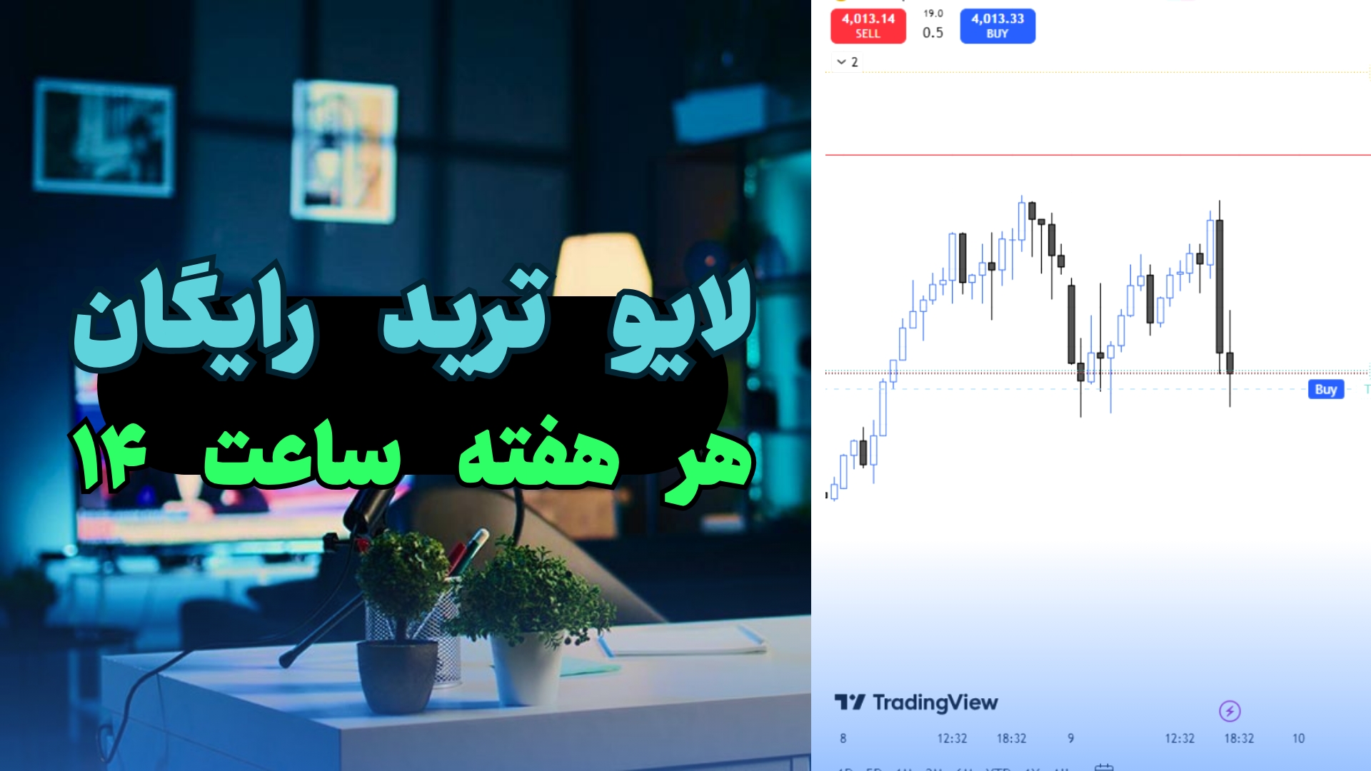 لایو ترید روزانه رایگان فارکس